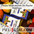 Pilules Miraculeuses De Racine Maléfique 12